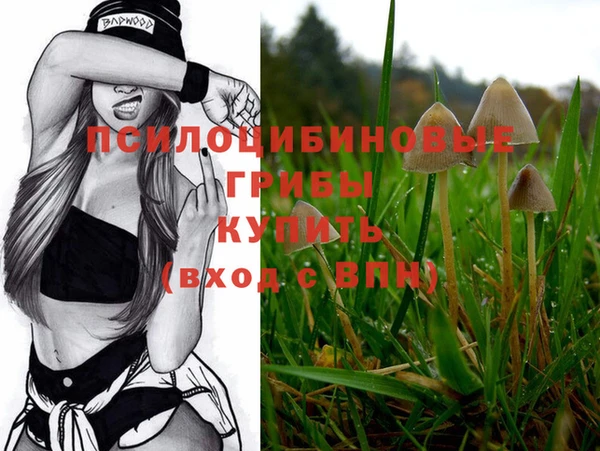 MESCALINE Белокуриха