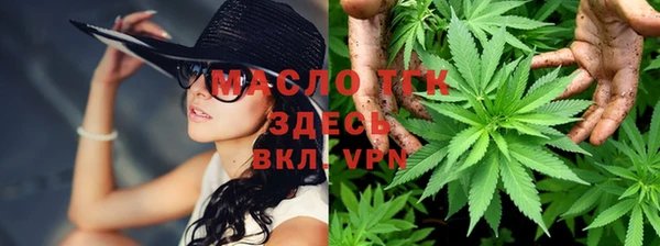 крисы Беломорск