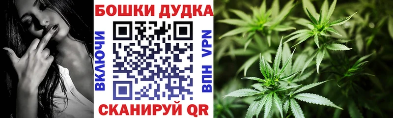 нарко площадка состав  купить наркотики цена  Озёрск  Бошки марихуана индика 